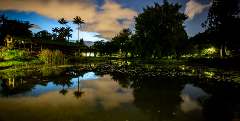 JARDÍN BOTÁNICO