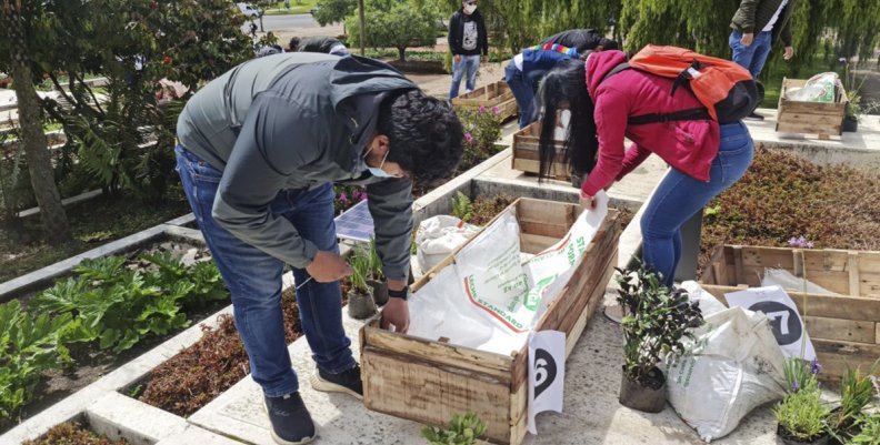 Jardines para aves