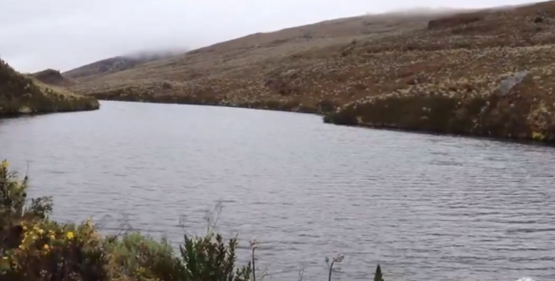 Páramo de Sumapaz. Páramo de Sumapaz.