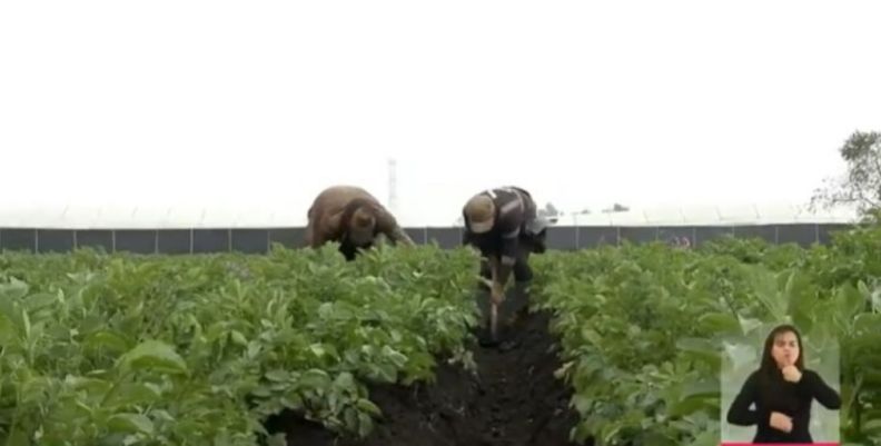 Gobierno Nacional radicó proyecto que busca beneficiar a productores agropecuarios