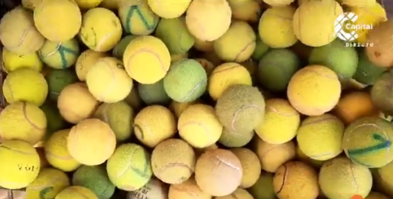 pelotas de tennis pelotas de tennis