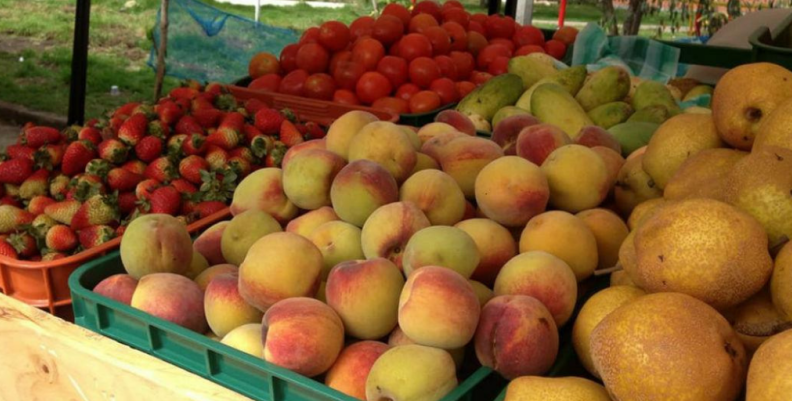 Mercados campesinos