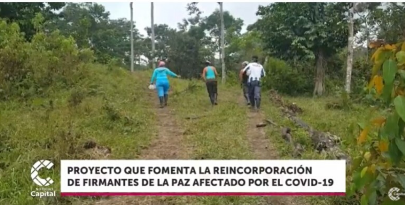 reincorporación de ex guerrilleros de las Farc reincorporación de ex guerrilleros de las Farc