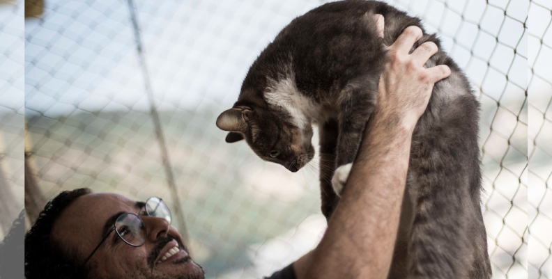 Animales adopción