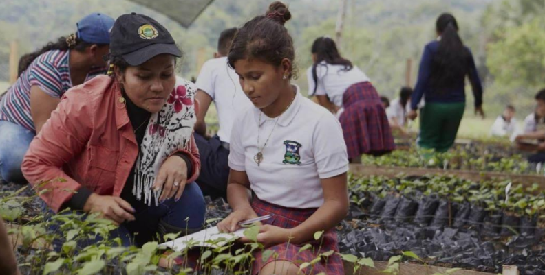 Programa de las Naciones Unidas para el Desarrollo, (PNUD).