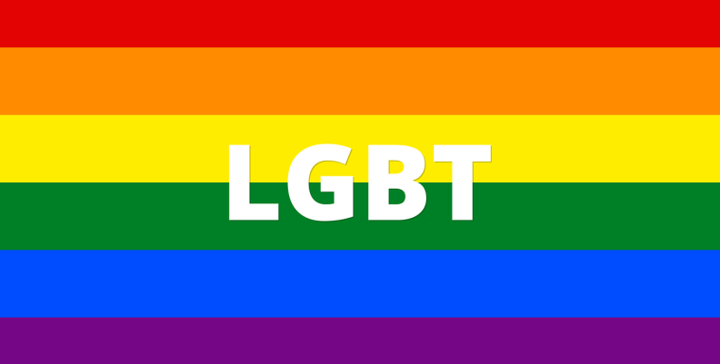 Política Pública de la comunidad LGBTI. Política Pública de la comunidad LGBTI.