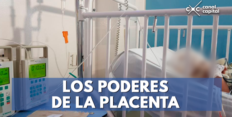 Los-poderes-de-la-placenta Los-poderes-de-la-placenta