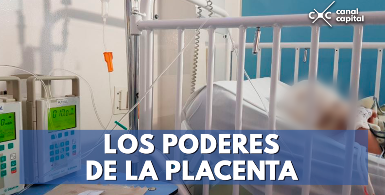 Los-poderes-de-la-placenta