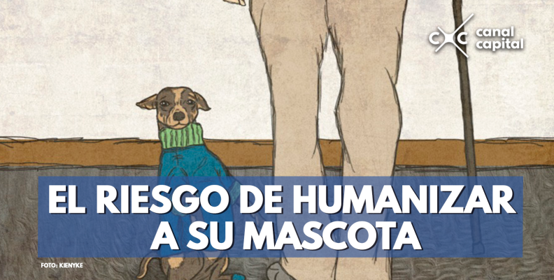 mascota mascota