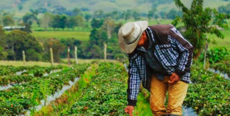 ministeriodeagricultura