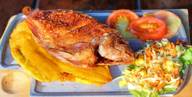 mojarra mojarra