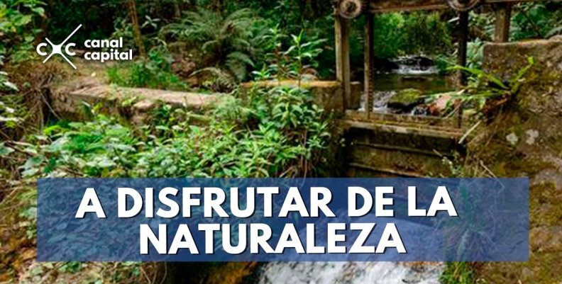 naturaleza-min