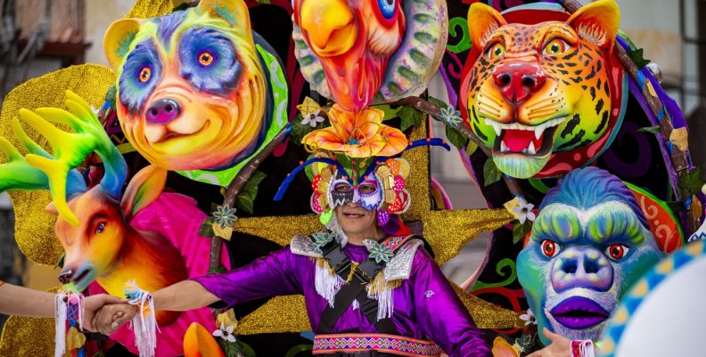 Disfraz del Carnaval de Negros y Blancos 