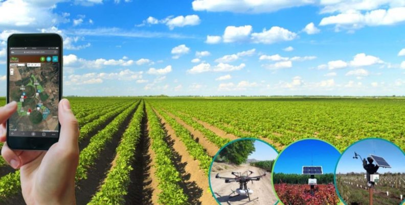 Agro y abastecimiento Agro y abastecimiento