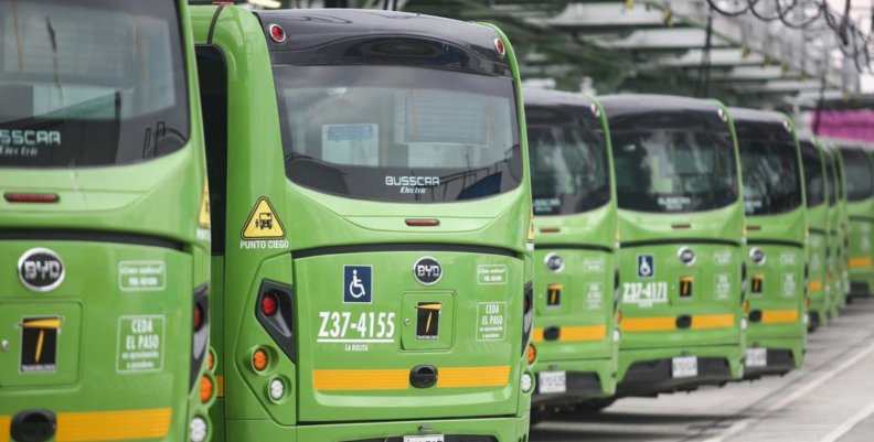 Buses verdes 