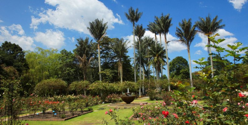 Jardín Botánico