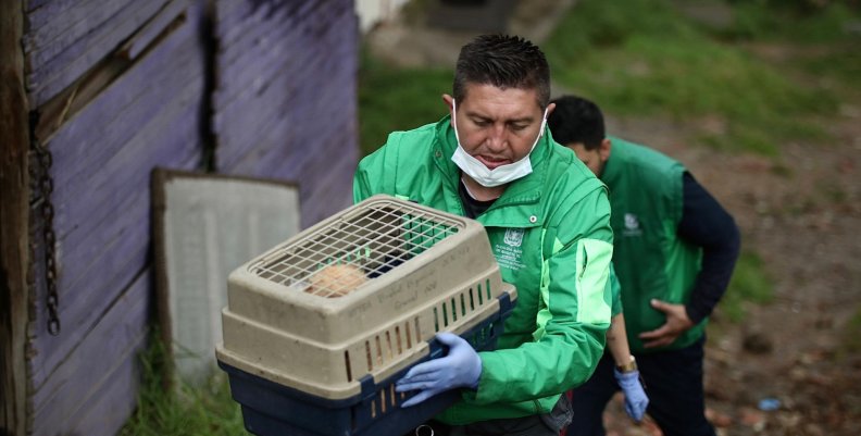 Rescate de animales de criaderos ilegales