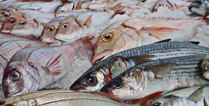 Pescado Semana Santa Pescados sobre una mesa