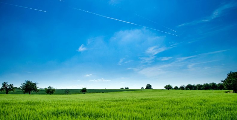 Fábrica de Sueños Un campo verde de césped con un cielo azul