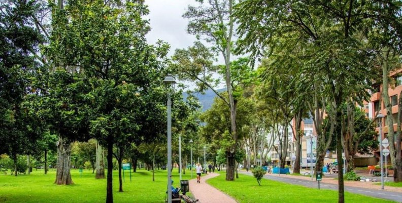 Parque rodeado de árboles