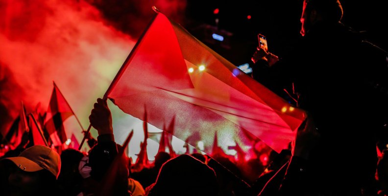 Bandera de Palestina ondeada durante una protesta