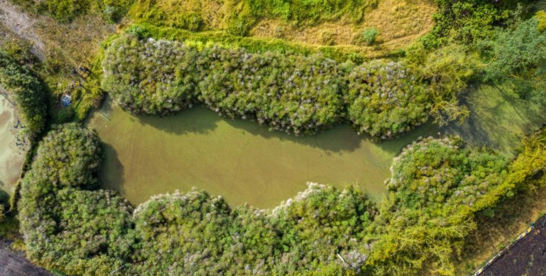 Imagen aérea de la Reserva Van der Hammen