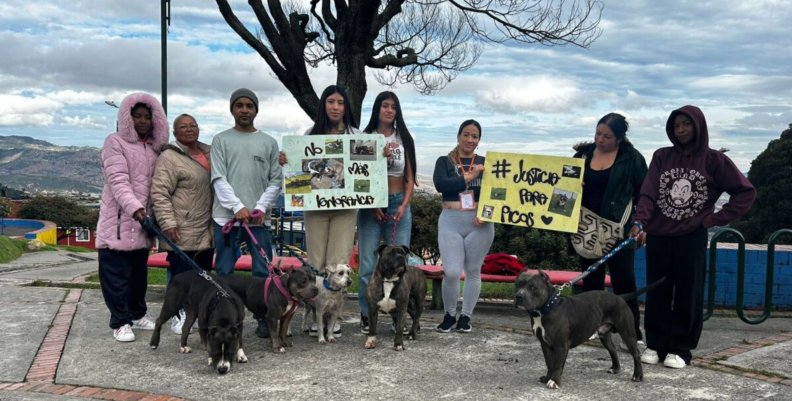 Picos Personas protestando en San Cristóbal por la muerte de Picos, un perro