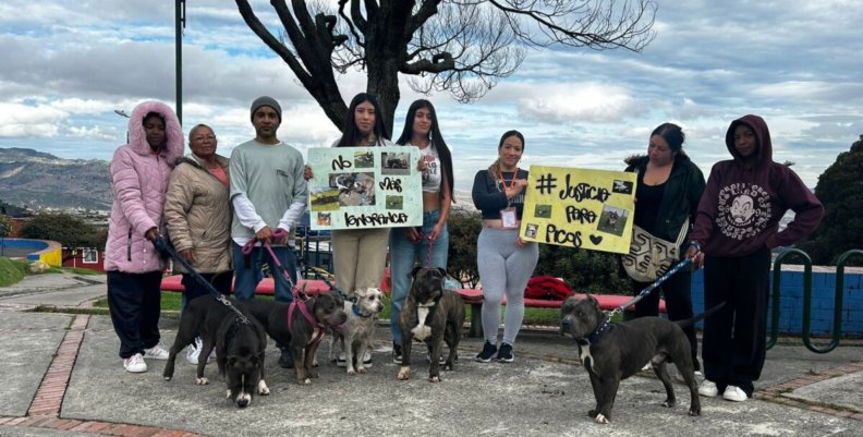 Personas protestando en San Cristóbal por la muerte de Picos, un perro