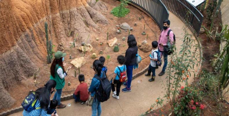 Niños en recorrido del Club de Ciencias