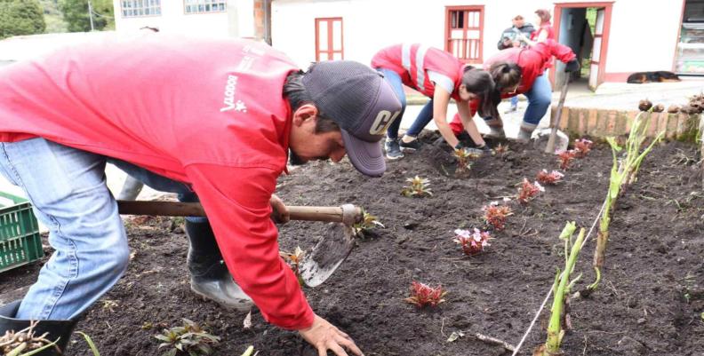 Personas cultivando la tierra