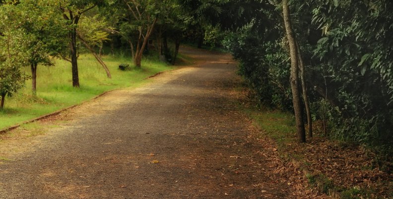 Parques ecoturísticos