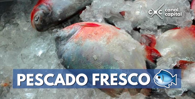 pescado-fresco