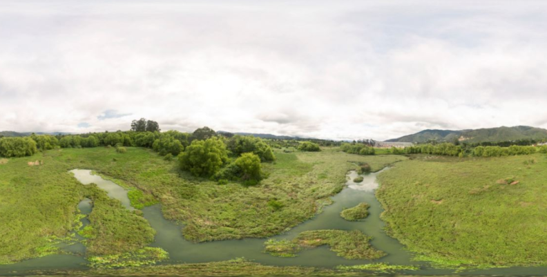 Plan ambiental en Lagos de Torca