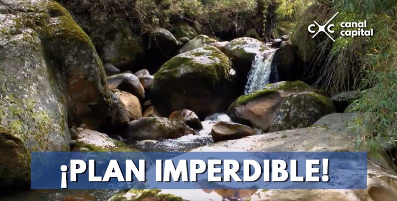 ¡PLAN-IMPERDIBLE!- (1) ¡PLAN-IMPERDIBLE!- (1)
