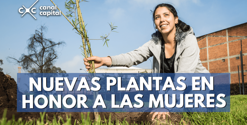 plantas-min