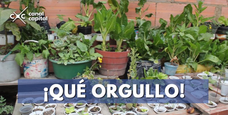 el-regalo-barrio-limpio