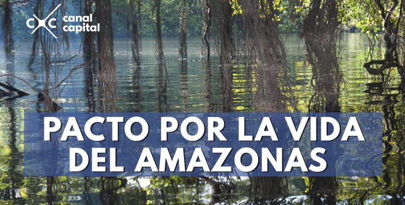 Amazonas