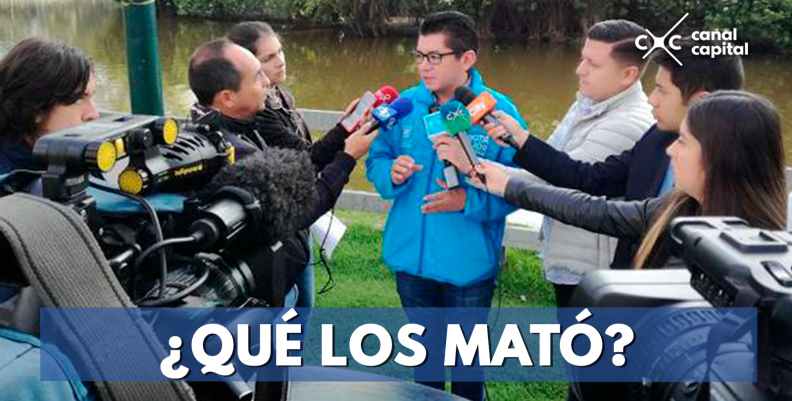 ¿Qué-los-mató-