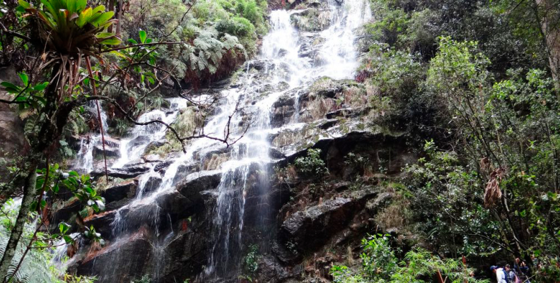 QUEBRADA LAS DELICIAS (OBSERVATORIO AMBIENTAL)