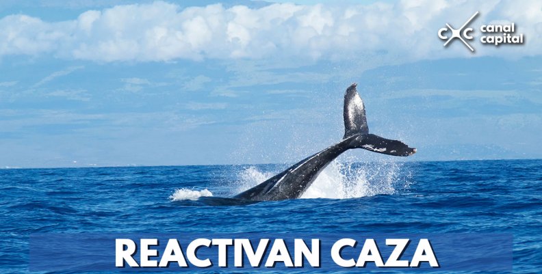 REACTIVAN-CAZA- REACTIVAN-CAZA-