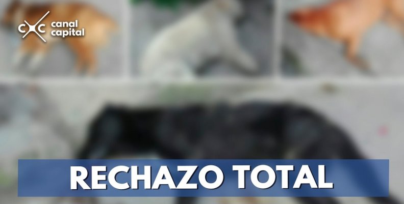 RECHAZO-TOTAL