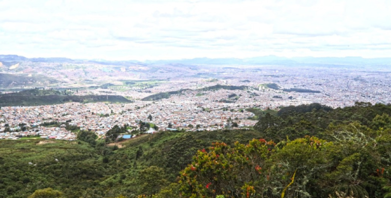 Bosques urbanos