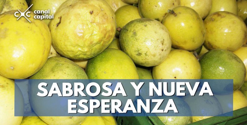 Sabrosa-y-nueva-esperanza- Sabrosa-y-nueva-esperanza-
