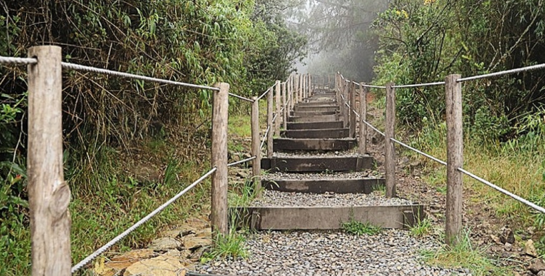 Sendero Guadalupe Aguanoso