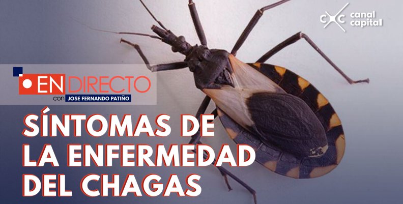 ¿Qué es la enfermedad de Chagas?