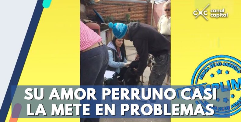 mujer-cuida-perros mujer-cuida-perros