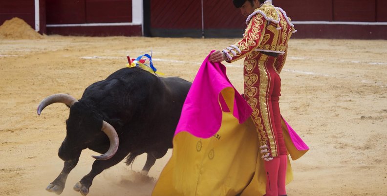 toro toro