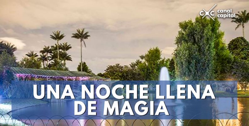 Una-noche-llena-de-magia-