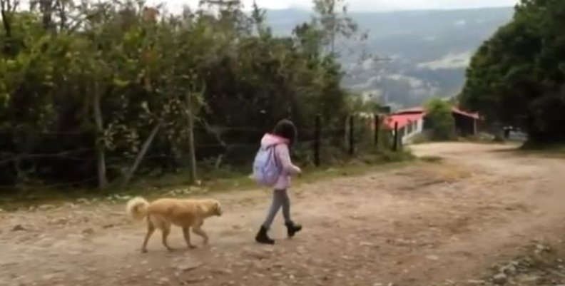 Caminado al colegio