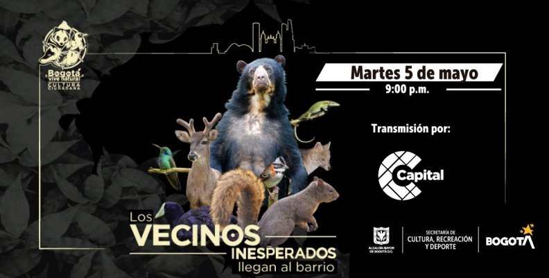 VECINOS INESPERADOS 3